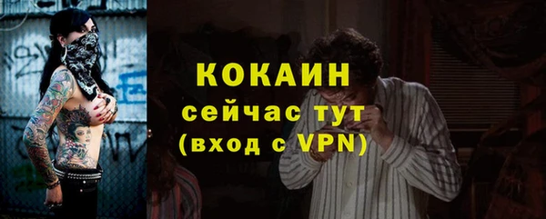 сатива Арсеньев