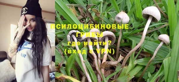 мдпв Армянск