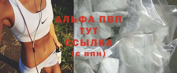 сатива Арсеньев