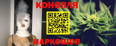 гашик Шахты
