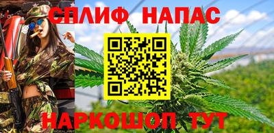 гашик Шахты
